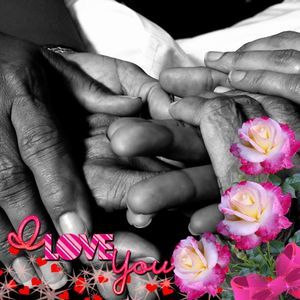 Meet your Posher, Ann